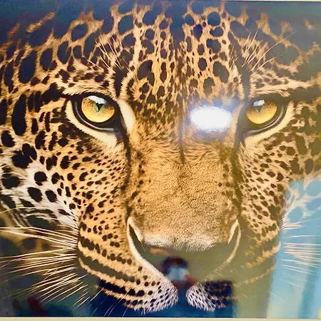 Lägenhet San Francisco Ii By Gloove *