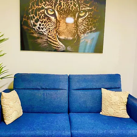 Appartement San Francisco Ii By Gloove